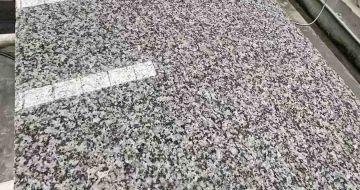 长治 芙蓉白光面