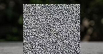 长治 芝麻黑荔枝面