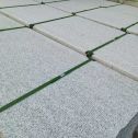 长治 芝麻白斧剁面