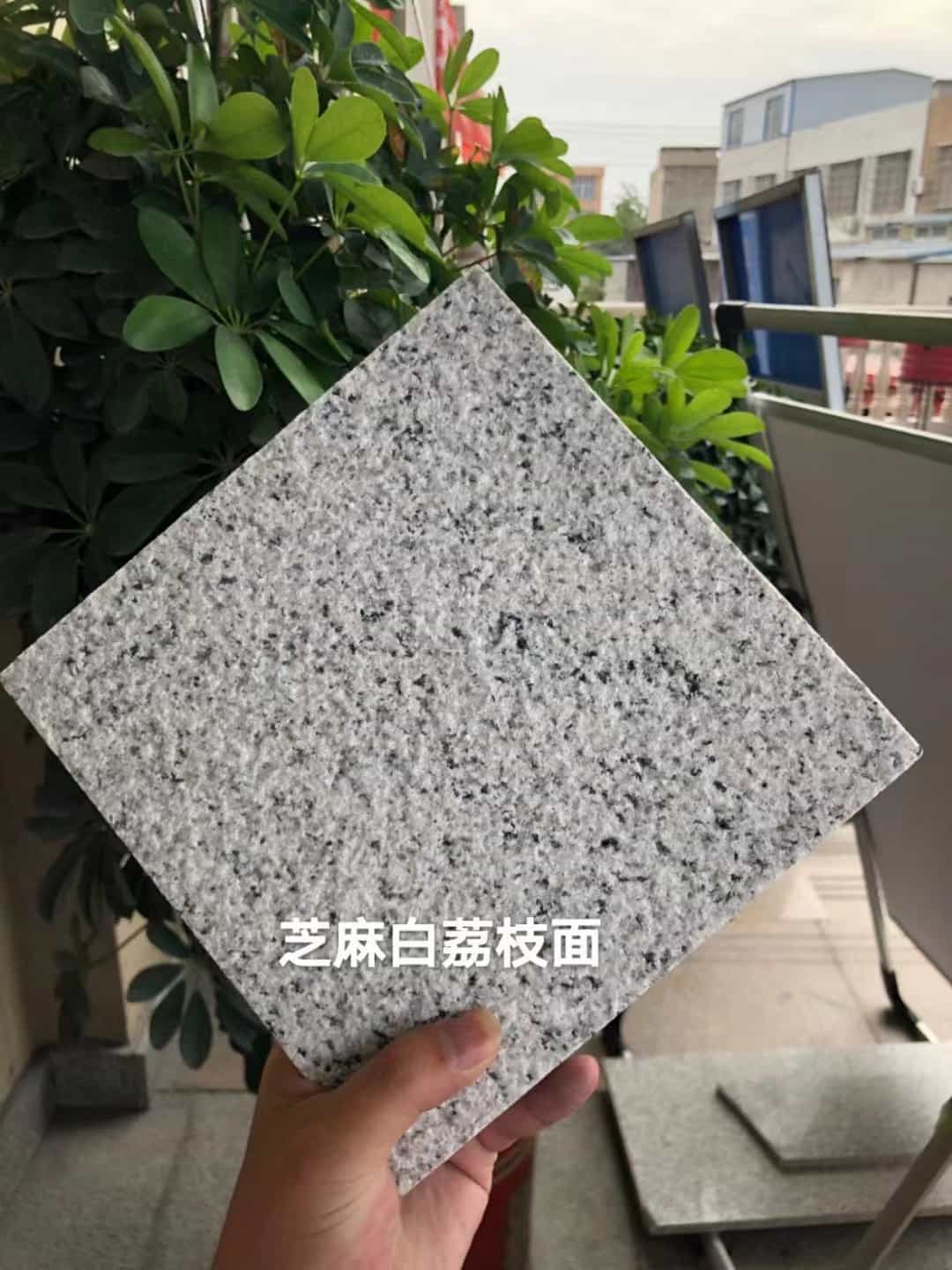 长治 芝麻白荔枝面干挂